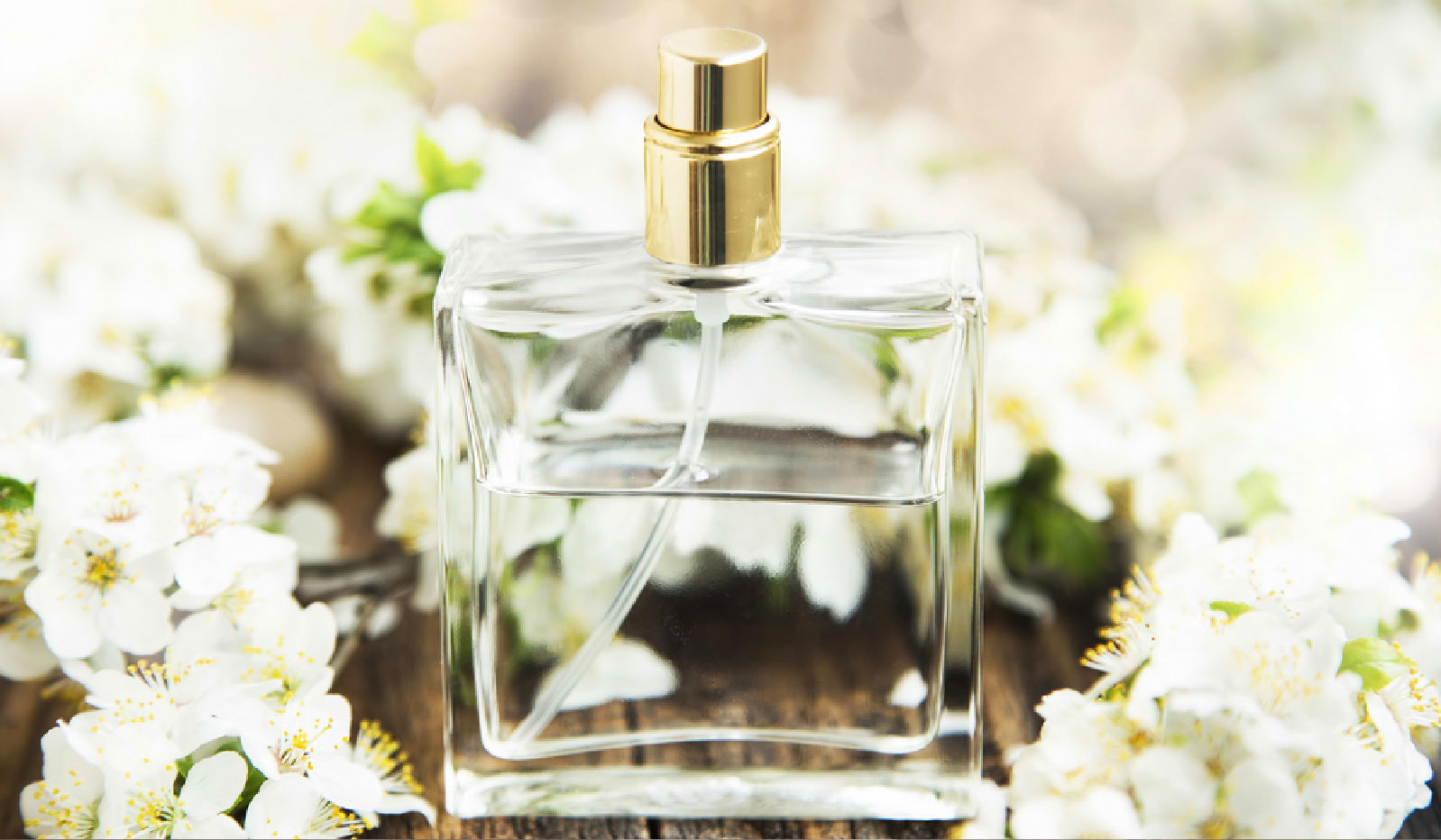 Jizan Perfumes LLC International trader of branded perfumes